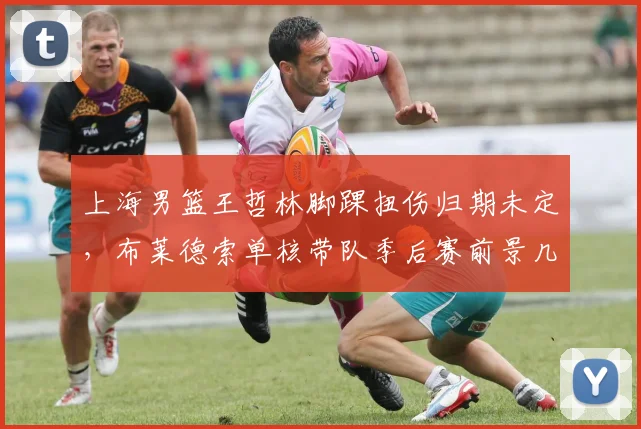 上海男篮王哲林脚踝扭伤归期未定，布莱德索单核带队季后赛前景几何？
